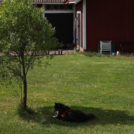 Mora Vandrarhem Och Gaesthem Vinäs Exterior foto