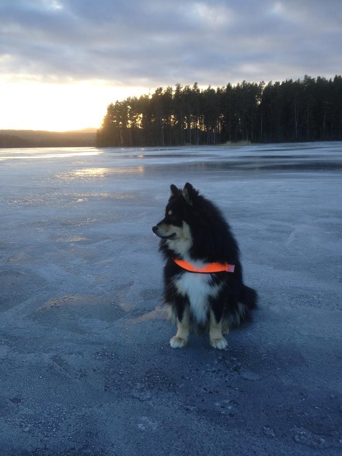 Mora Vandrarhem Och Gaesthem Vinäs Exterior foto